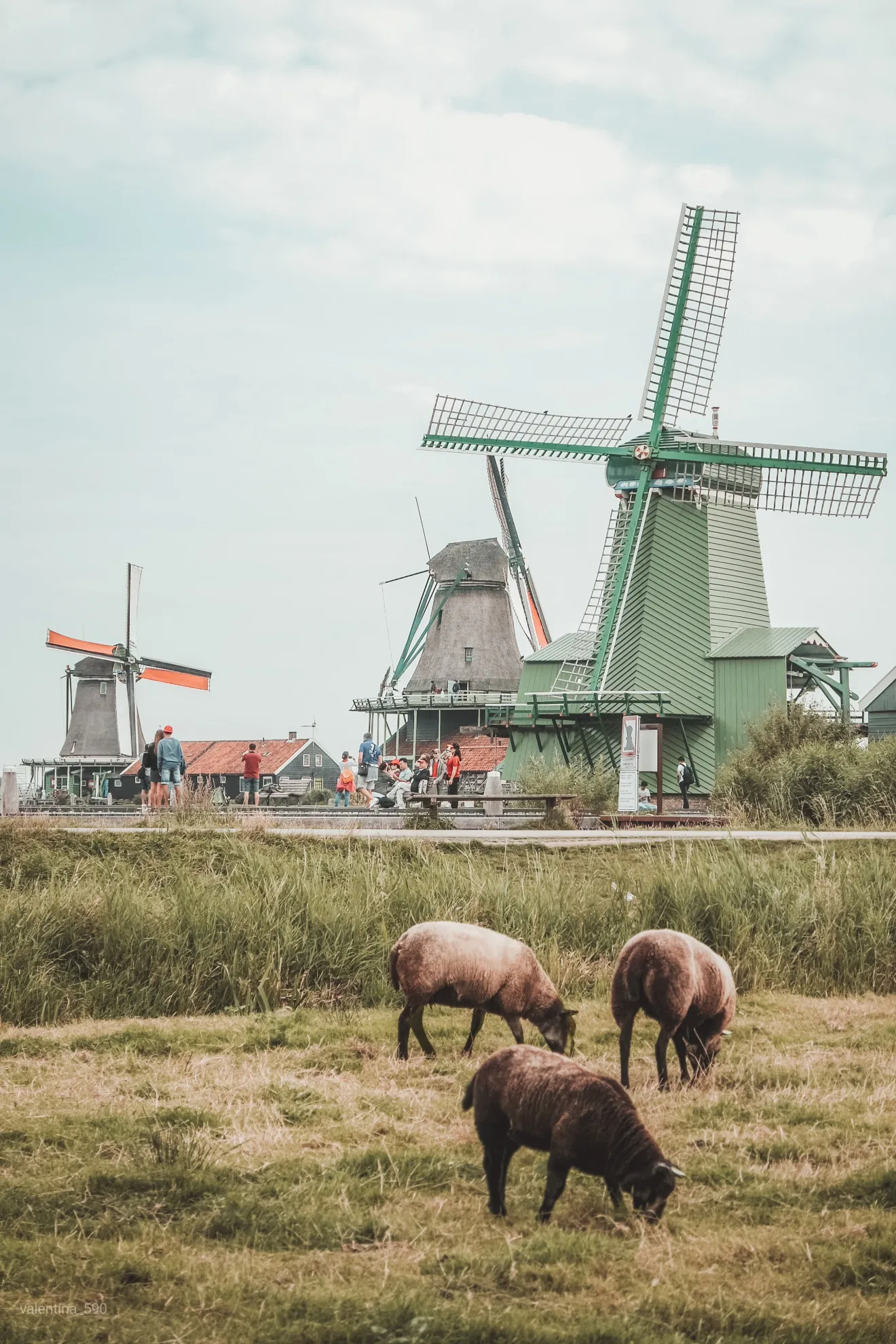 Image blog The Netherlands is a captivating European Nation Offering a Different Holiday Rental Experience